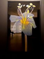A l&#039;expo